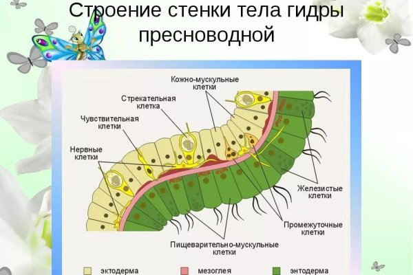 Кракен маркетплейс 2025