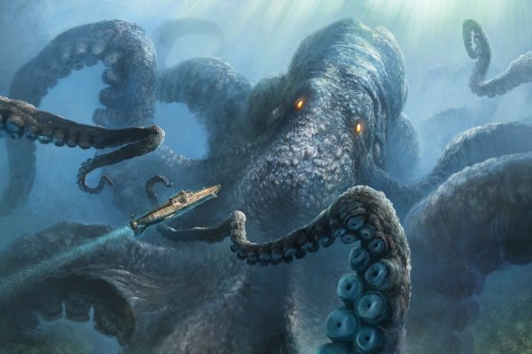Kraken whitenet ссылка